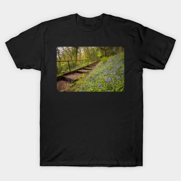 The Hundred Steps, Coedalltacham, Pontardawe, Wales T-Shirt by dasantillo